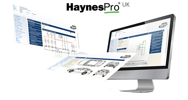 Haynes Pro